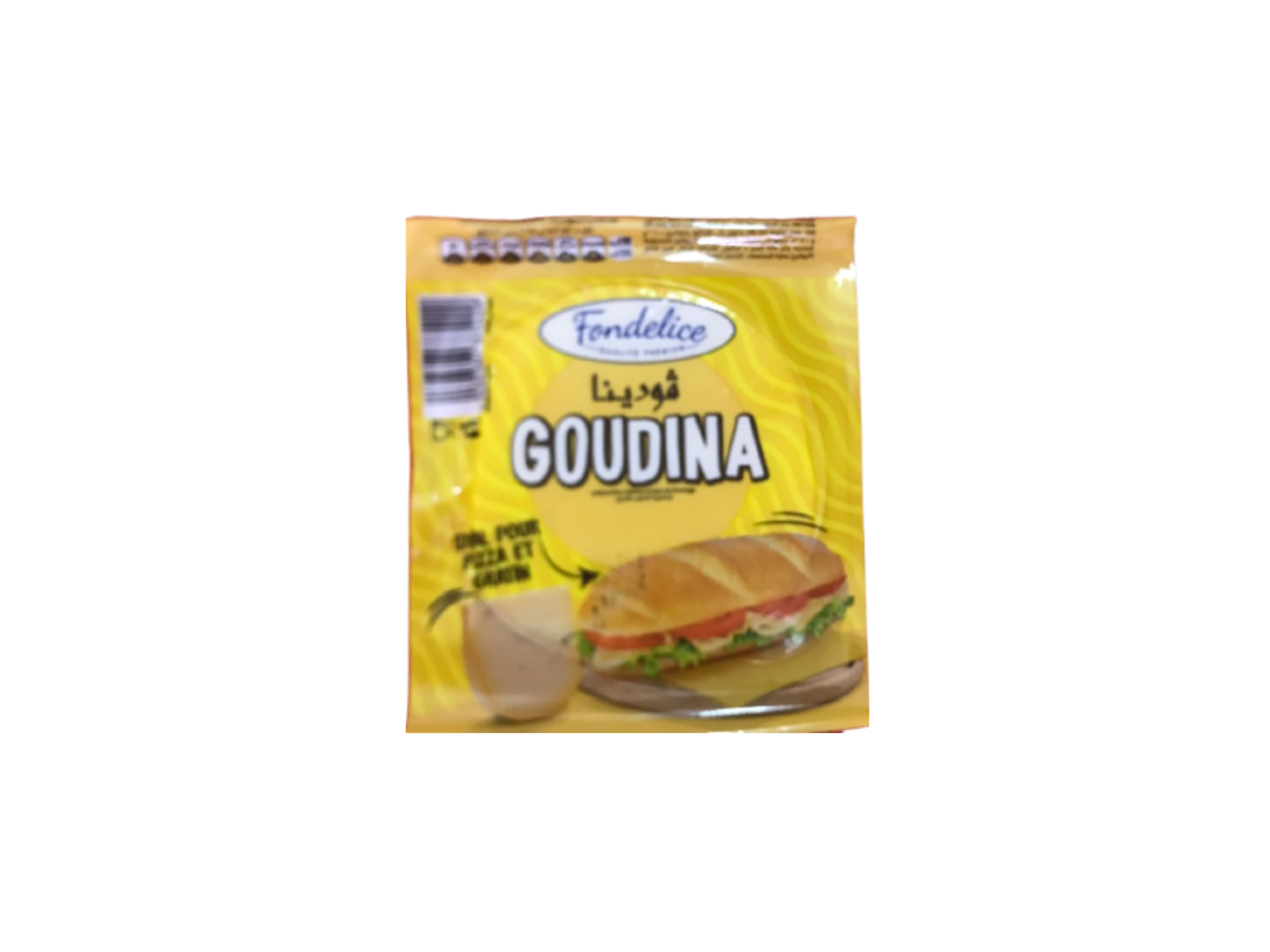 GOUDINA